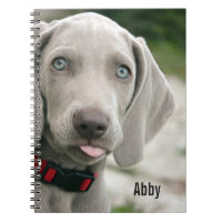 Aangepaste Weimaraner Dog Foto en Dog Name
