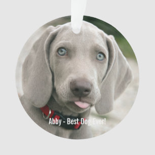 Aangepaste Weimaraner Dog Foto en Dog Name Ornament