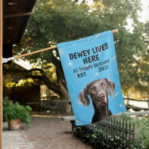 Aangepaste Weimaraner