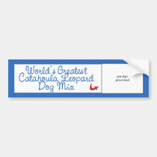 Aangepaste werelden grootst Catahoula Leopard Dog Bumpersticker