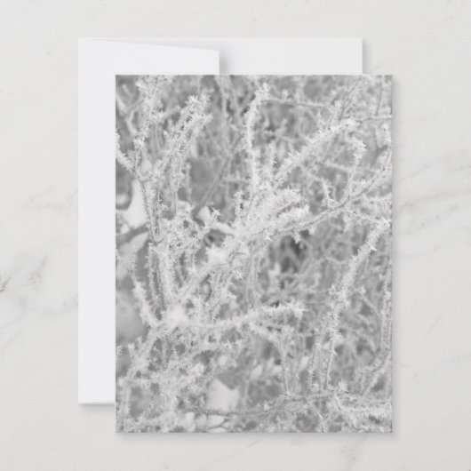 Aangepaste Winter Icy Pine Tree Blank Note Card Notitiekaartje (Voorkant)