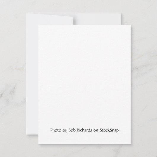 Aangepaste Winter Icy Pine Tree Blank Note Card Notitiekaartje (Achterkant)