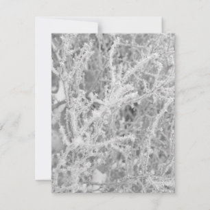 Aangepaste Winter Ijsberkendennotitiekaart Notitiekaartje