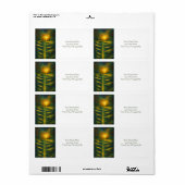 Aangepaste Wonder & Light Matching Adresetiketten Etiket (Full Sheet)