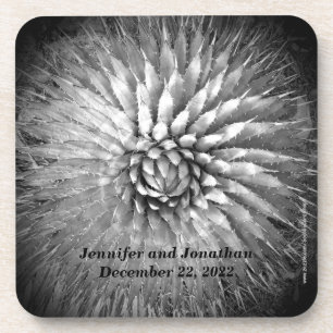 Aangepersonaliseerde namen van Agave Spikes, set v Drankjes Onderzetter