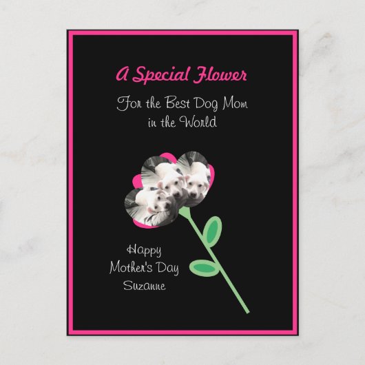  aanjager van koeweit Best mam Hot Pink Briefkaart (Voorkant)