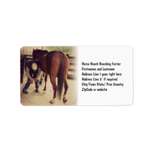 Aankomst - Mooie foto-hoeffoto van paarden - Trim Etiket