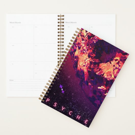 Aankomst Planner (Display)