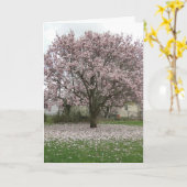Aankomst van de Lente, Magnolia Tulip Tree Kaart (Gele Bloem)