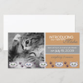 Aankondiging geboorte nieuwe huisdier (Voorkant / Achterkant)