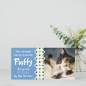 Aankondiging goedkeuring kat/Kitten (Staand voorkant)