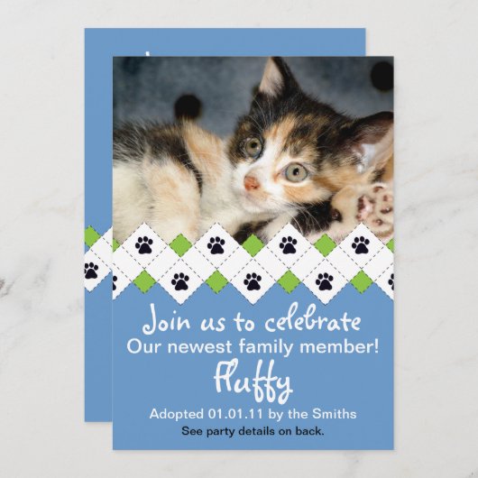 Aankondiging goedkeuring kat/Kitten (Voorkant / Achterkant)