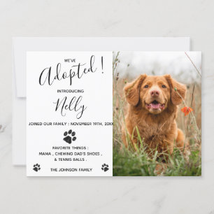 Aankondiging nieuwe Dog Cat Pet