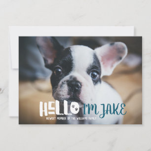 Aankondiging nieuwe Pet Adoption HALLO