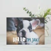 Aankondiging nieuwe Pet Adoption | HALLO (Staand voorkant)