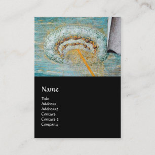 Aankondiging, Saint Emidius en een ufo Visitekaartje