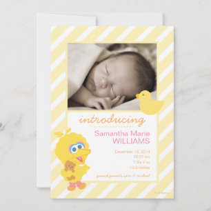 Aankondiging van Big Bird Birth