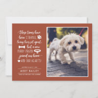 Aankondiging van de foto van Strange Times New Pet