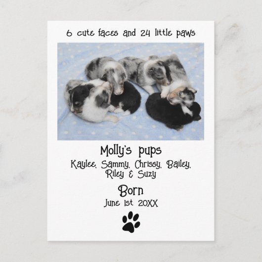 Aankondiging van de geboorte van Cute Puppy Briefkaart (Voorkant)