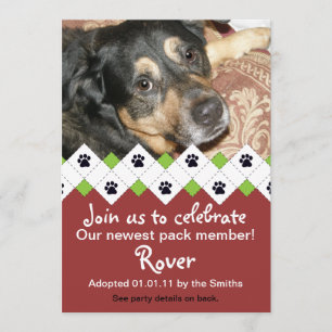 Aankondiging van Dog/Puppy Adoption Party