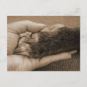 Aankondiging van een nieuw gezinslid