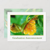 Aankondiging van het afstuderen van wilde bosbesse (Voorkant / Achterkant)