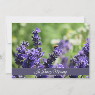 Aankondiging van Lavender & Ladybug Memorial Servi