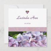 Aankondiging van Paarse goedkeuring Hydrangea (Achterkant)