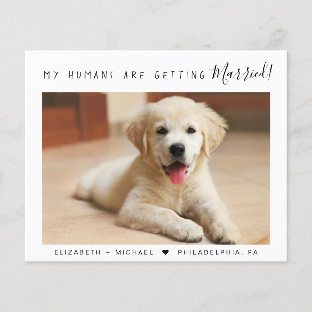 Aankondiging Verloving Pet Photo Budget (Voorkant)