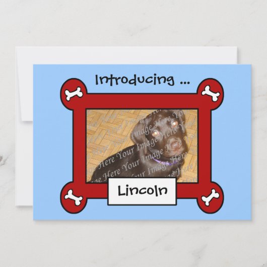 Aankondigingen van de hond adoptie of geboorte (ro (Voorkant)