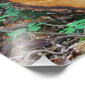 Aanmelden bij een bos foto afdruk (Hoek)