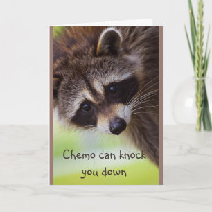 Aanmoediging Chemo kan je neerslaan Wasbeer Kaart