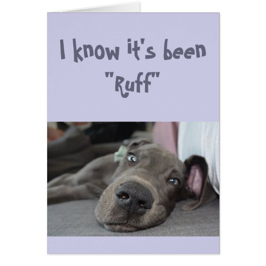 Aanmoediging/goed koken Grote Dane Dog (Voorkant)