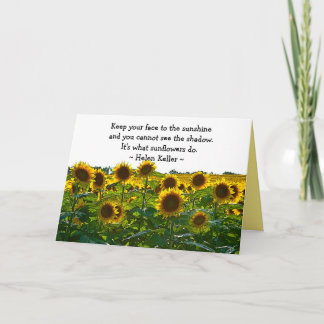 aanmoediging van zonnebloemvelden kaart