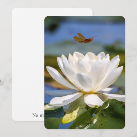 Aanmoedigingskaart: geen modder, geen lotus (Voorkant / Achterkant)