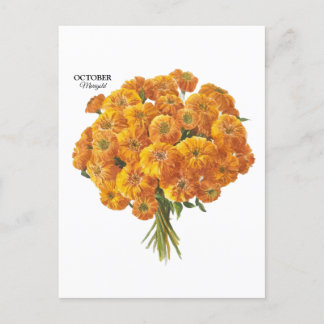 Aanpasbaar Afrikaantje Verjaardagscadeau Oktober Briefkaart