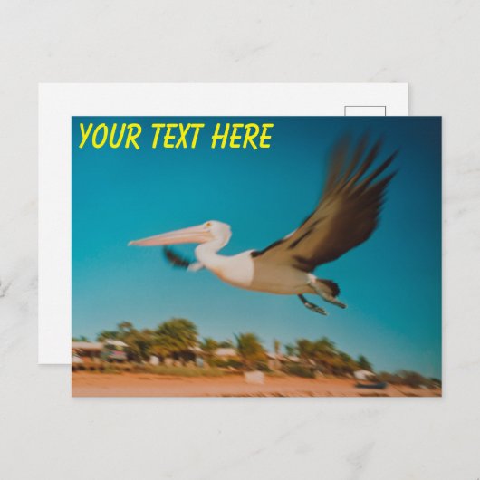 Aanpasbare Australische pelikaan Briefkaart (Voorkant / Achterkant)