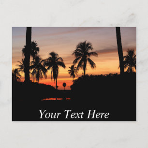 Aanpasbare Florida zonsondergang Briefkaart