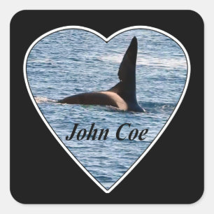 Aanpasbare John Coe Orka Zwaardwalvis Vierkante Sticker
