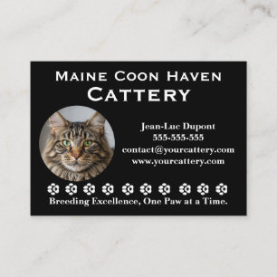 Aanpasbare Maine Coon Fokkerij Bedrijfskaart Visitekaartje