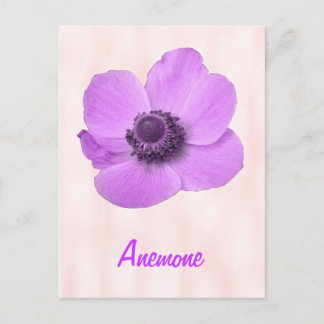 Aanpasbare Meisjesachtige Roze Anemoon Ansichtkaar Briefkaart