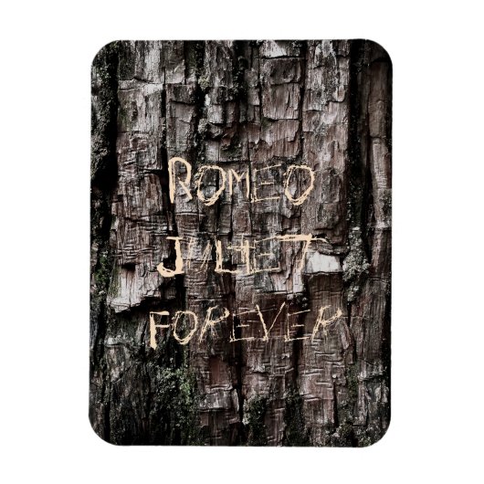 Aanpasbare Minnaars Magneet (Verticaal)