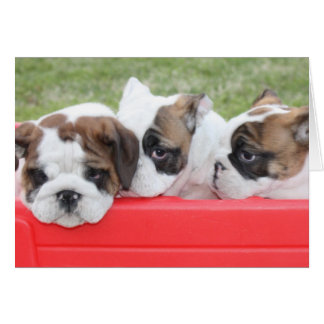 Aanpasbare Puppy Love-kaart