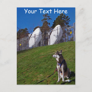 Aanpasbare tracker hond briefkaart