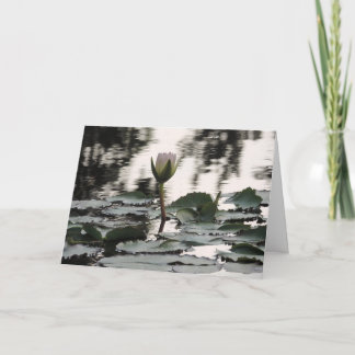 Aanpasbare wenskaart: Waterlelie Foto Bedankkaart