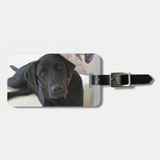 Aanpasbare Zwarte Labrador Retriever Bagagelabel