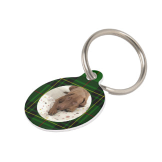 Aanpassen Forbes Tartan Groene Hond Huisdierpenning