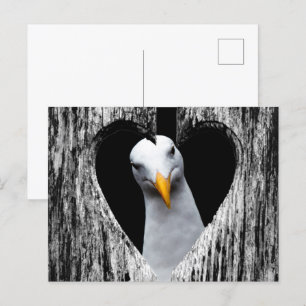 Aanpassen met uw eigen foto! briefkaart