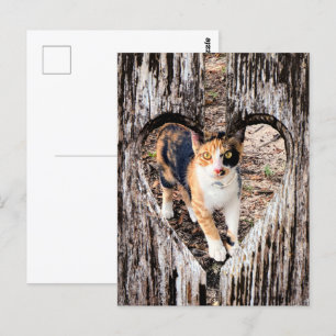 Aanpassen met uw eigen foto! briefkaart