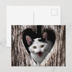 Aanpassen met uw eigen foto! briefkaart